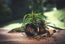 CBD ÖL