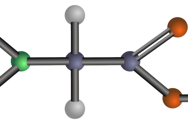 GABA